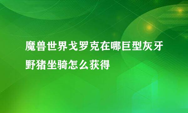 魔兽世界戈罗克在哪巨型灰牙野猪坐骑怎么获得