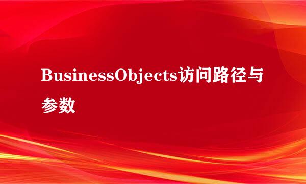 BusinessObjects访问路径与参数