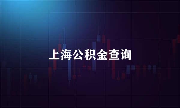 上海公积金查询