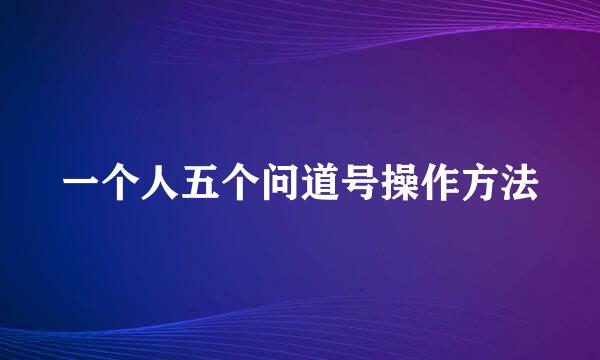 一个人五个问道号操作方法