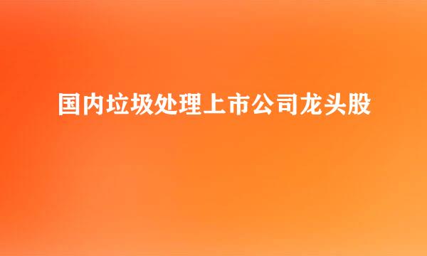 国内垃圾处理上市公司龙头股