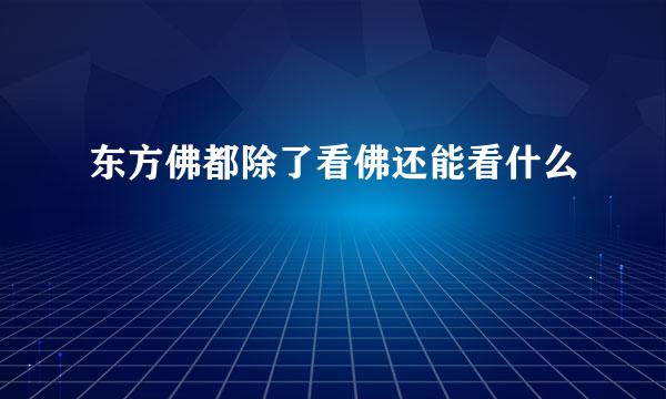 东方佛都除了看佛还能看什么