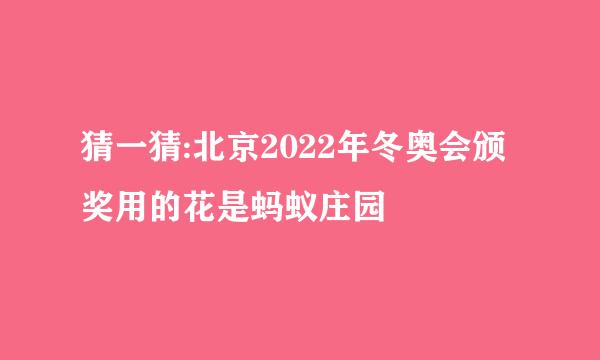 猜一猜:北京2022年冬奥会颁奖用的花是蚂蚁庄园