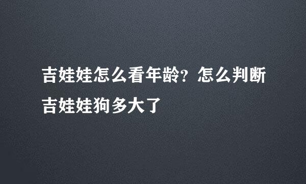 吉娃娃怎么看年龄？怎么判断吉娃娃狗多大了