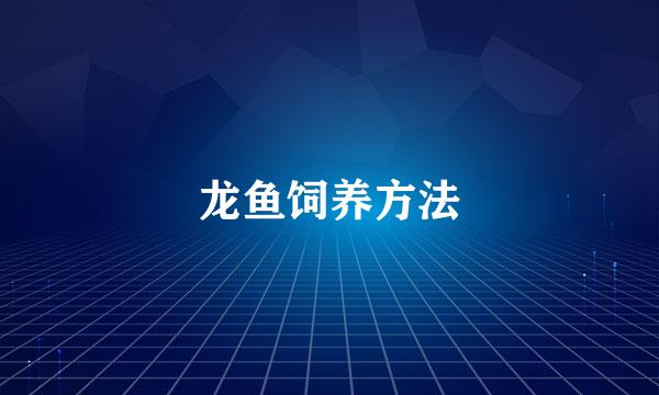 龙鱼饲养方法