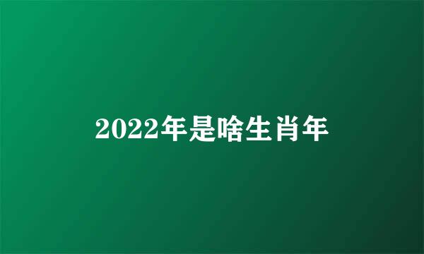 2022年是啥生肖年