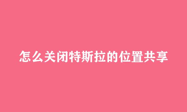 怎么关闭特斯拉的位置共享