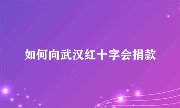 如何向武汉红十字会捐款