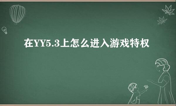 在YY5.3上怎么进入游戏特权