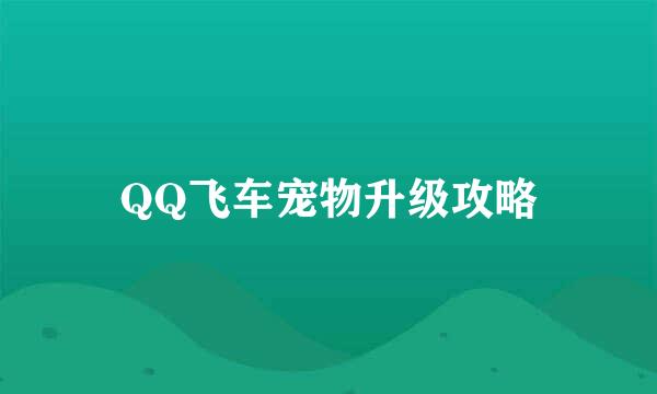 QQ飞车宠物升级攻略