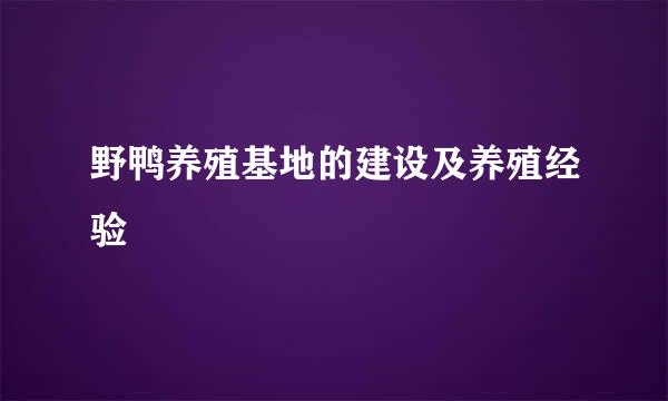 野鸭养殖基地的建设及养殖经验