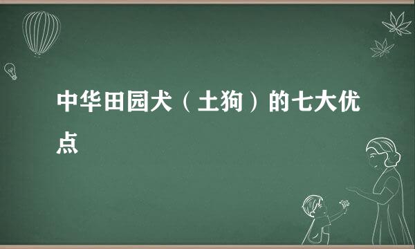 中华田园犬（土狗）的七大优点