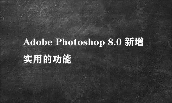 Adobe Photoshop 8.0 新增实用的功能