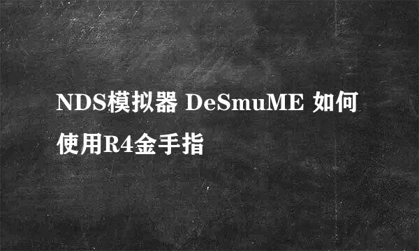 NDS模拟器 DeSmuME 如何使用R4金手指