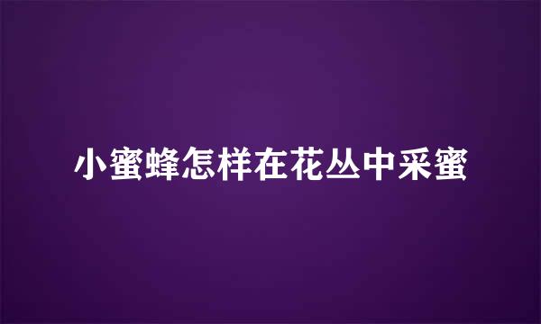 小蜜蜂怎样在花丛中采蜜