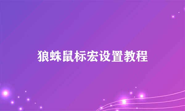 狼蛛鼠标宏设置教程