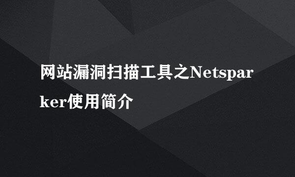 网站漏洞扫描工具之Netsparker使用简介