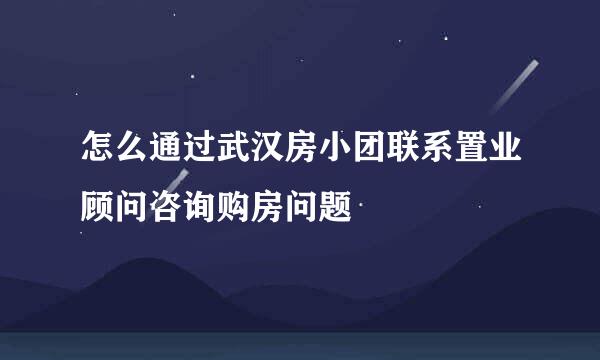 怎么通过武汉房小团联系置业顾问咨询购房问题