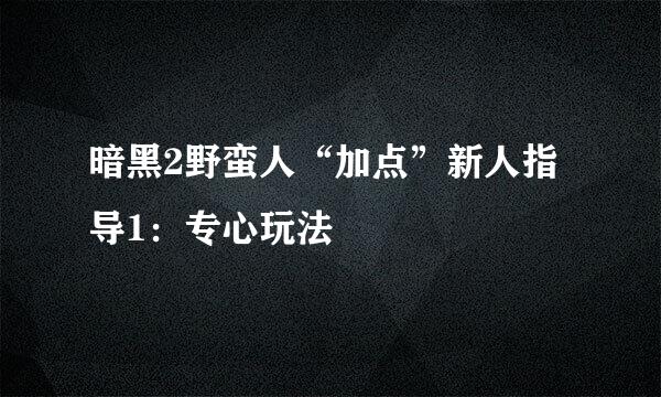 暗黑2野蛮人“加点”新人指导1：专心玩法