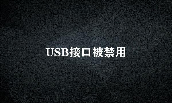 USB接口被禁用