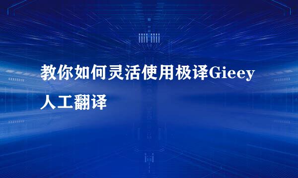 教你如何灵活使用极译Gieey人工翻译