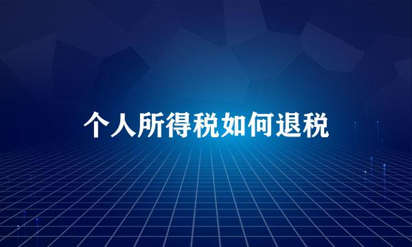 个人所得税如何退税