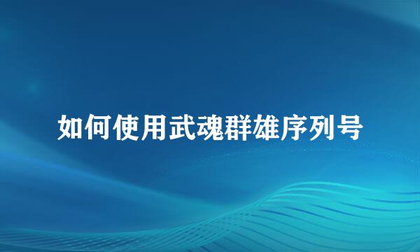 如何使用武魂群雄序列号