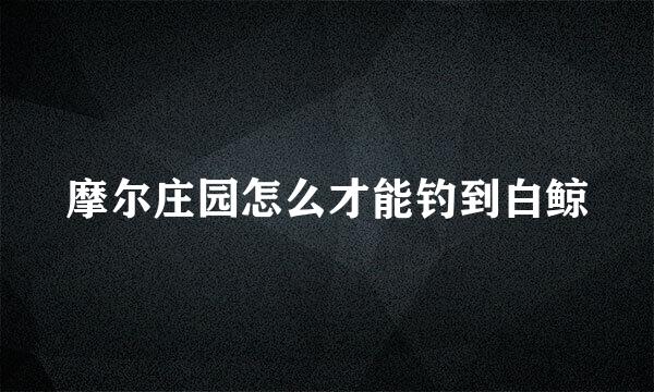 摩尔庄园怎么才能钓到白鲸