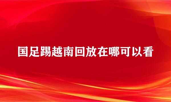 国足踢越南回放在哪可以看