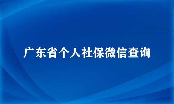 广东省个人社保微信查询