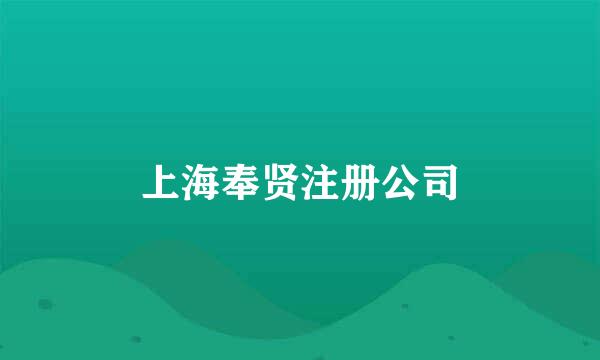 上海奉贤注册公司