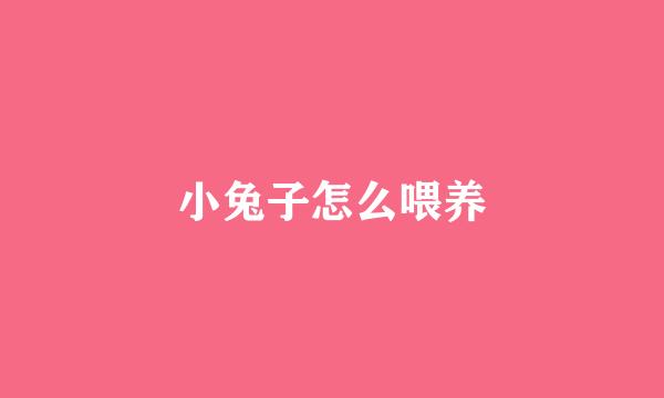 小兔子怎么喂养