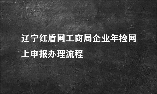 辽宁红盾网工商局企业年检网上申报办理流程