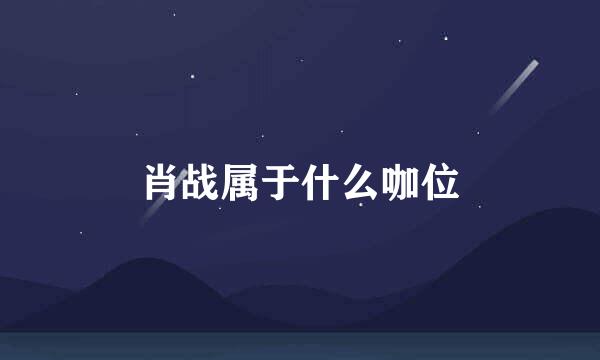 肖战属于什么咖位