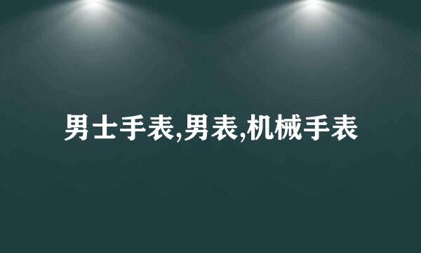 男士手表,男表,机械手表