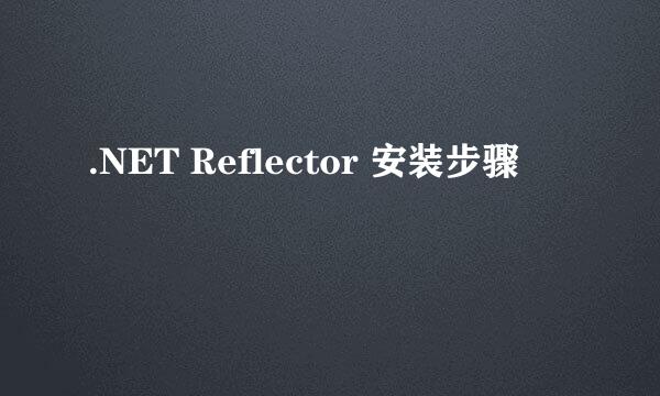 .NET Reflector 安装步骤