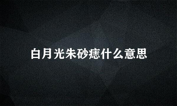 白月光朱砂痣什么意思