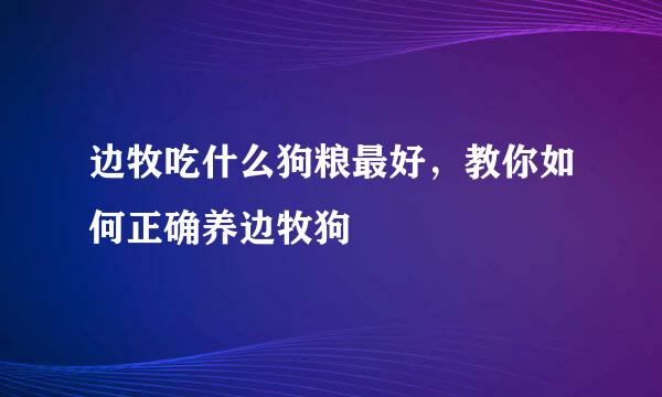 边牧吃什么狗粮最好，教你如何正确养边牧狗