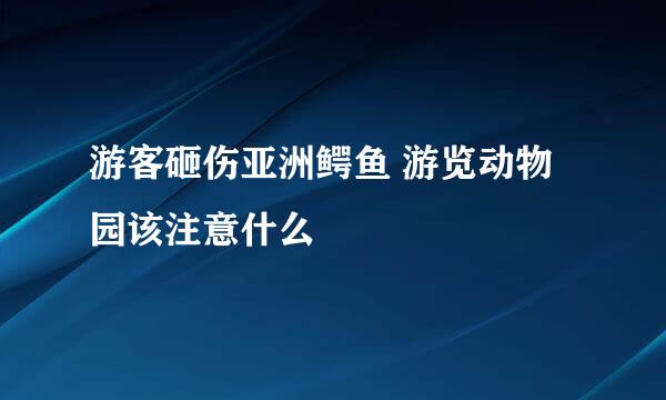 游客砸伤亚洲鳄鱼 游览动物园该注意什么