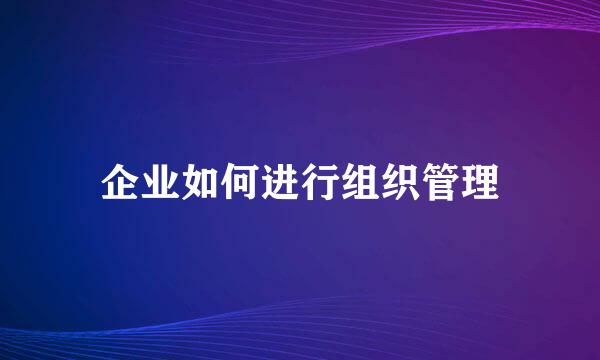 企业如何进行组织管理