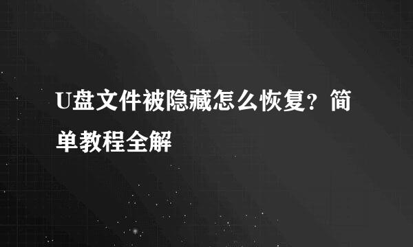 U盘文件被隐藏怎么恢复？简单教程全解