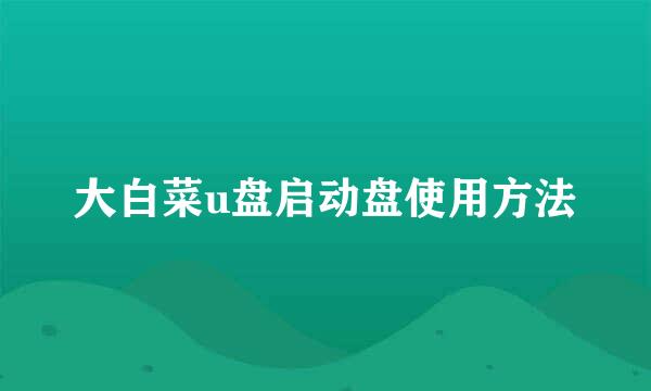 大白菜u盘启动盘使用方法