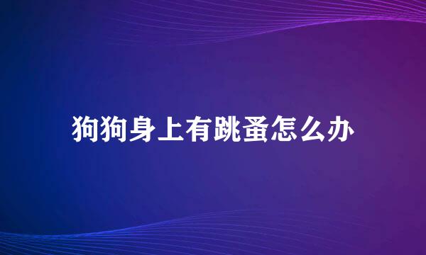 狗狗身上有跳蚤怎么办