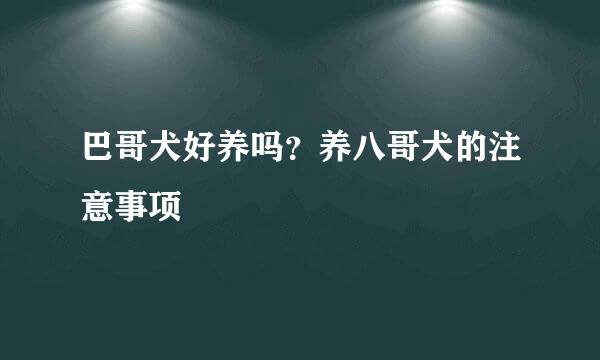 巴哥犬好养吗？养八哥犬的注意事项