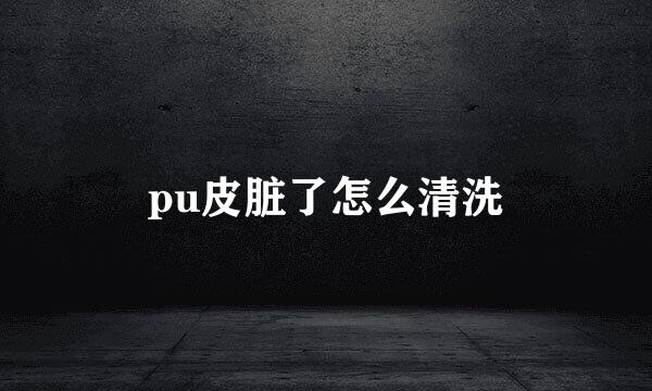 pu皮脏了怎么清洗