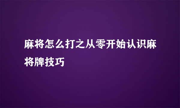 麻将怎么打之从零开始认识麻将牌技巧