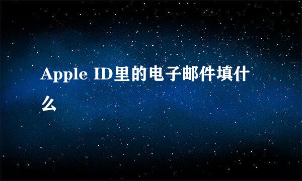 Apple ID里的电子邮件填什么