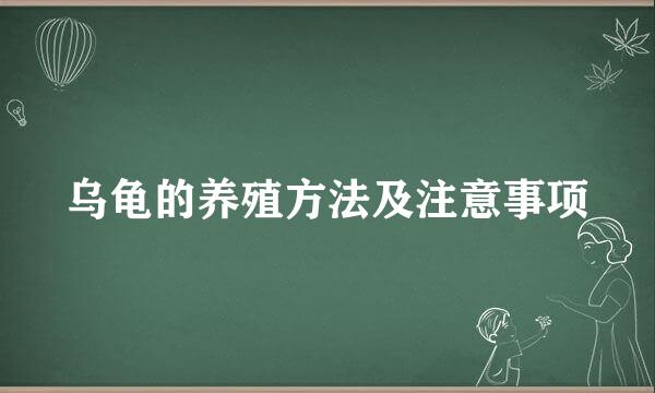 乌龟的养殖方法及注意事项