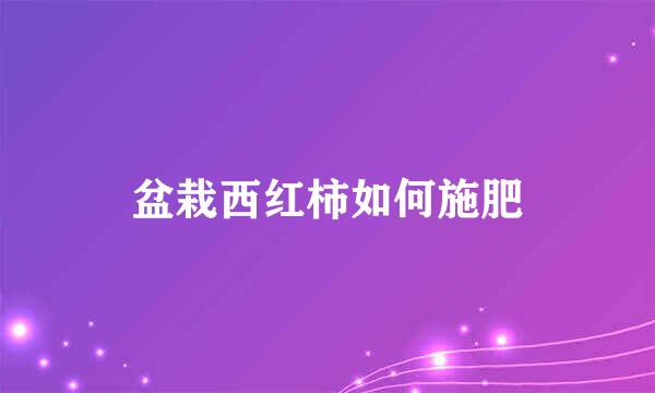 盆栽西红柿如何施肥