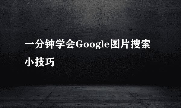 一分钟学会Google图片搜索小技巧